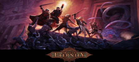 Project Eternity sortira uniquement sur PC