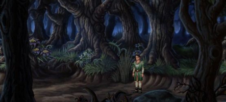 Mage's Initiation, un jeu d'aventure façon années 80, a besoin de vous