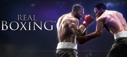 Real Boxing disponible sur PC