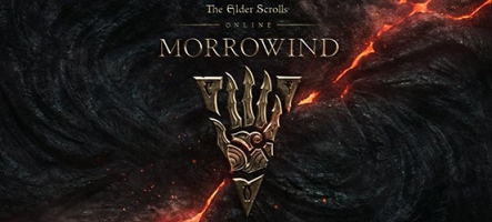 (TEST) The Elder Scrolls Online: Morrowind (PC, PS4, Xbox One)