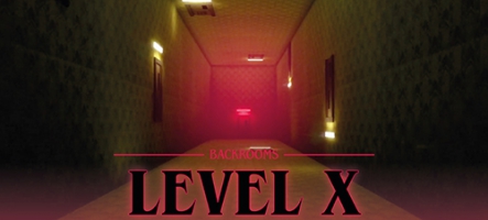 Backrooms Level X, un jeu de survie et d'horreur