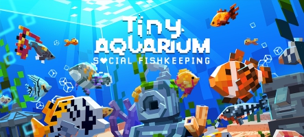 Tiny Aquarium : annonce une date de sortie