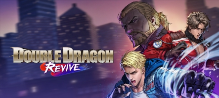 Double Dragon Revive - Bientôt sur la Switch 