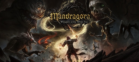 Mandragora: Whispers of the Witch Tree ajoute le new game+