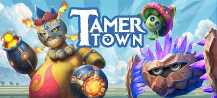Tamer Town est annoncé