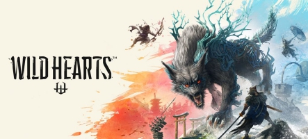 (TEST) Wild Hearts