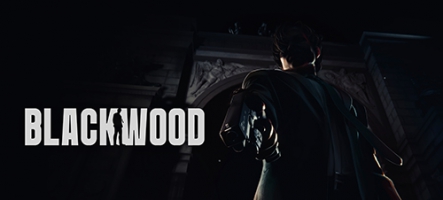 Blackwood, un jeu d'action à la John Woo