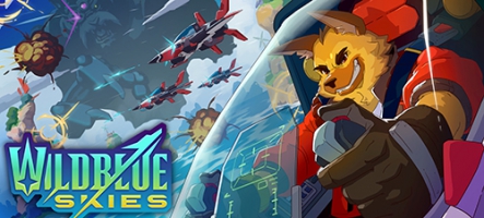 Wild Blue Skies, par l'un des créateurs de Star Fox