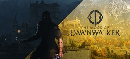 The Blood of Dawnwalker dévoile une nouvelle vidéo