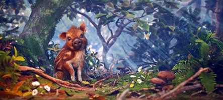 Adorable Adventures : un simulateur de marcassin...