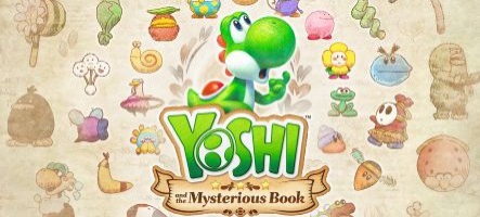 Découvrez Yoshi and the Mysterious Book en détails