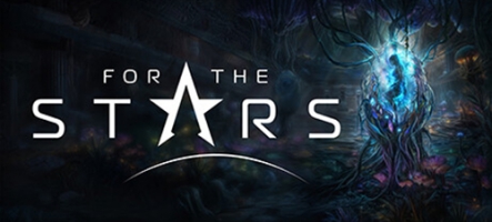 For the Stars, un nouveau MMO SF