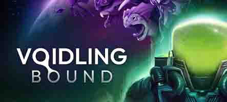 Voidling Bound, un Pokémon dans l'espace