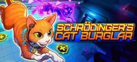 Schrodinger's Cat Burglar, un jeu de chat double