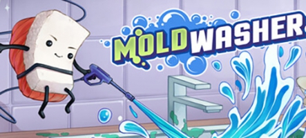 Moldwasher : combattez la moisissure dès le 23 juin