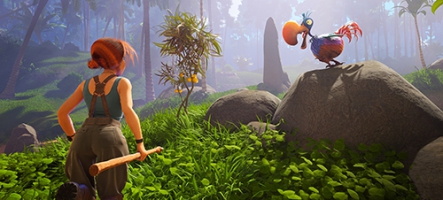 Under a Rock : un jeu de survie original en coop Under a Rock : un jeu de survie original en coop