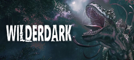 Wilderdark arrive le 3 novembre sur Steam Wilderdark arrive le 3 novembre sur Steam