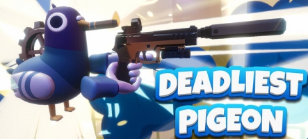 Deadliest Pigeon arrive sur Steam le 6 août Deadliest Pigeon arrive sur Steam le 6 août