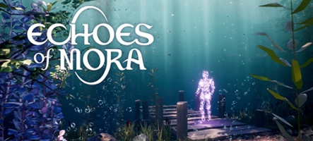 Echoes of Mora est sorti sur PC Echoes of Mora est sorti sur PC